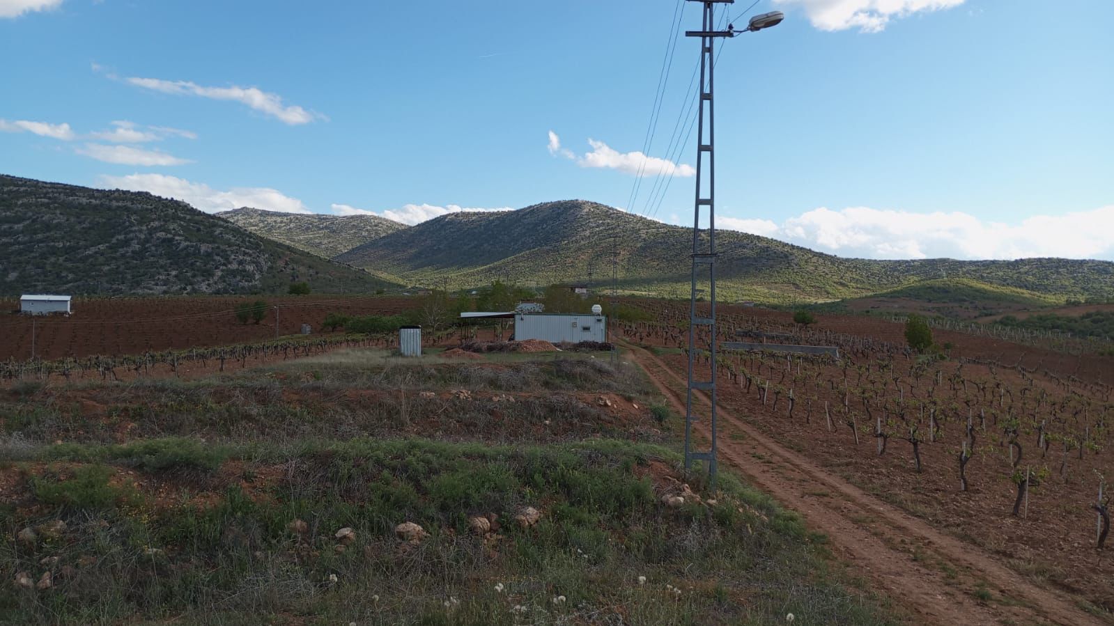 Fotoğraf
